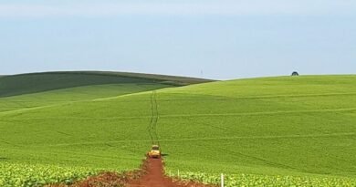 Inicio das obras do Contorno Noroeste de Pato Branco.
