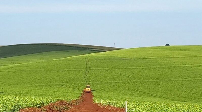 Inicio das obras do Contorno Noroeste de Pato Branco.